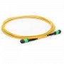 MPO Patch Cord 12 Fiber MPO Trunk Cable