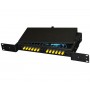 1U 19” Fixed Fiber Optic Patch Panel