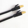 CAT8 S/FTP 40Gps 2,000 MHz (2GHz) Patch Cables